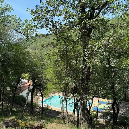 Maison Avec Piscine Chauffee Entre Mer Et Montagne Montauriol  Εξωτερικό φωτογραφία
