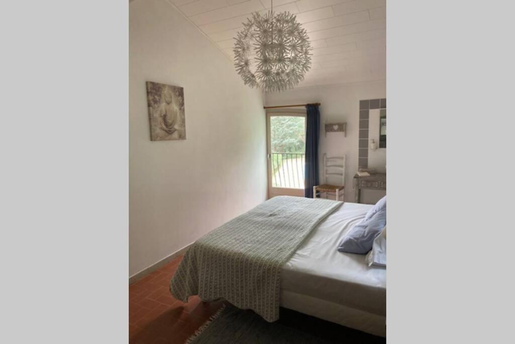 Maison Avec Piscine Chauffee Entre Mer Et Montagne Montauriol  Εξωτερικό φωτογραφία